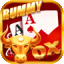 rummy cash games